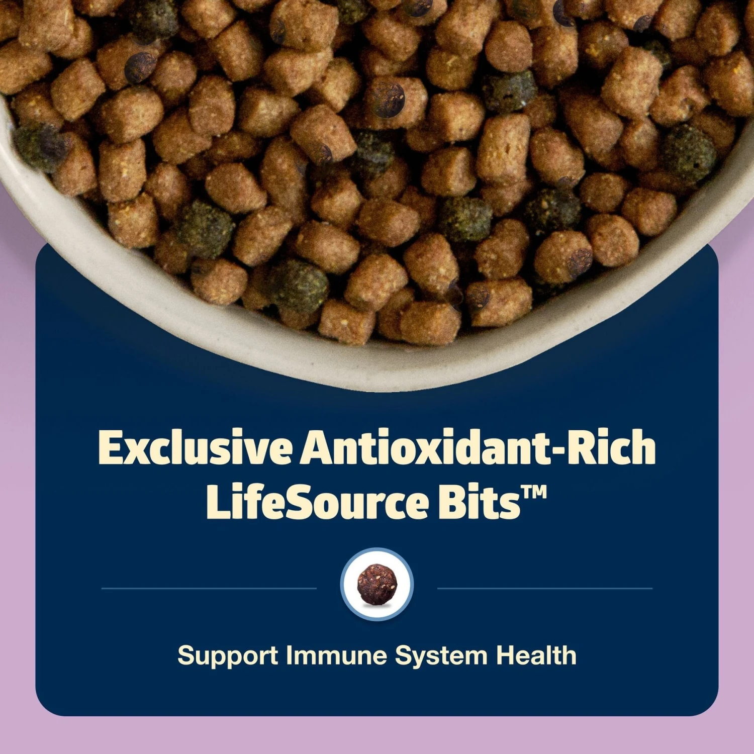 Blue Buffalo Freedom Indoor Kitten Chicken Recipe Grain-Free Dry Cat Food 8 Blue Buffalo Freedom Indoor Kitten Chicken Recipe Grain-Free Dry Cat Food - Image 6