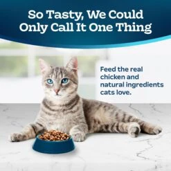 Blue Buffalo Tastefuls Hairball Control Natural Chicken & Brown Rice Recipe Adult Dry Cat Food -PurePet Bites Shop 75612 PT2. AC SS1800 V1692641750