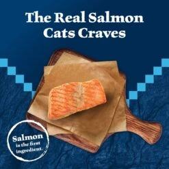 Blue Buffalo Wilderness Kitten Salmon Grain-Free Canned Cat Food -PurePet Bites Shop 75637 PT2. AC SS1800 V1646779588
