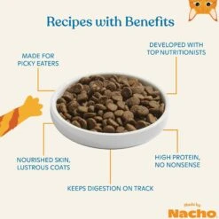 Made By Nacho Digestive Support Cage-Free Turkey & Pumpkin Recipe Dry Cat Food -PurePet Bites Shop 756518 PT2. AC SS1800 V1698185856