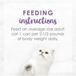 Fancy Feast Medleys Wild Salmon Florentine Canned Cat Food -PurePet Bites Shop 75886 PT7. AC SS1800 V1586526390