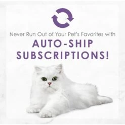 Fancy Feast Medleys Wild Salmon Florentine Canned Cat Food -PurePet Bites Shop 75886 PT8. AC SS1800 V1586526392