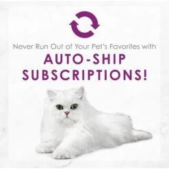 Fancy Feast Medleys White Meat Chicken Florentine Canned Cat Food -PurePet Bites Shop 75888 PT8. AC SS1800 V1659907879