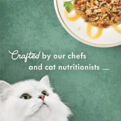 Fancy Feast Medleys White Meat Chicken Primavera Canned Cat Food -PurePet Bites Shop 75896 PT3. AC SS1800 V1666043897