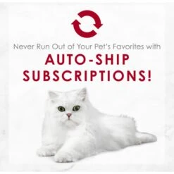 Fancy Feast Medleys Wild Salmon Primavera Canned Cat Food -PurePet Bites Shop 75898 PT8. AC SS1800 V1649107890