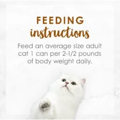 Fancy Feast Medleys Tender Turkey Tuscany Canned Cat Food -PurePet Bites Shop 75904 PT7. AC SS1800 V1586526990