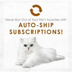 Fancy Feast Medleys Tender Turkey Tuscany Canned Cat Food -PurePet Bites Shop 75904 PT8. AC SS1800 V1586526996