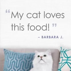 Fancy Feast Purely White Meat Chicken & Shredded Beef Wet Cat Food 16 Fancy Feast Purely White Meat Chicken & Shredded Beef Wet Cat Food -PurePet Bites Shop 75931 PT5. AC SS1800 V1640887914