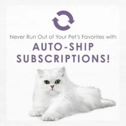 Fancy Feast Purely White Meat Chicken & Shredded Beef Wet Cat Food 19 Fancy Feast Purely White Meat Chicken & Shredded Beef Wet Cat Food -PurePet Bites Shop 75931 PT8. AC SS1800 V1640901385