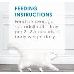 Fancy Feast Purely Tender Tongol Tuna Wet Cat Food -PurePet Bites Shop 75941 PT8. AC SS1800 V1541527711