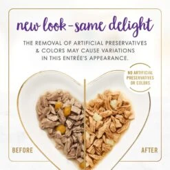 Fancy Feast Delights With Cheddar Grilled Turkey & Cheddar Cheese Feast In Gravy Canned Cat Food -PurePet Bites Shop 75951 PT2. AC SS1800 V1693929417