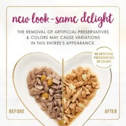 Fancy Feast Delights With Cheddar Grilled Chicken & Cheddar Cheese Feast In Gravy Canned Cat Food -PurePet Bites Shop 75960 PT2. AC SS1800 V1693929388