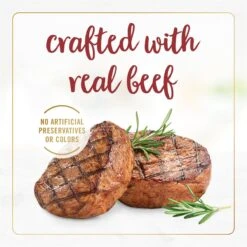 Fancy Feast Gravy Lovers Beef Feast Gravy Canned Cat Food -PurePet Bites Shop 75962 PT4. AC SS1800 V1695494776