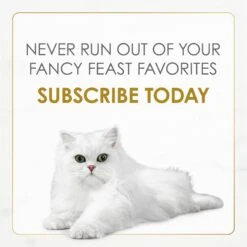 Fancy Feast Gravy Lovers Beef Feast Gravy Canned Cat Food -PurePet Bites Shop 75962 PT7. AC SS1800 V1695498999