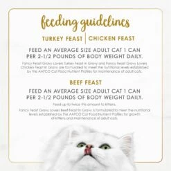 Fancy Feast Gravy Lovers Poultry & Beef Feast Variety Pack Canned Cat Food -PurePet Bites Shop 75978 PT8. AC SS1800 V1690484629