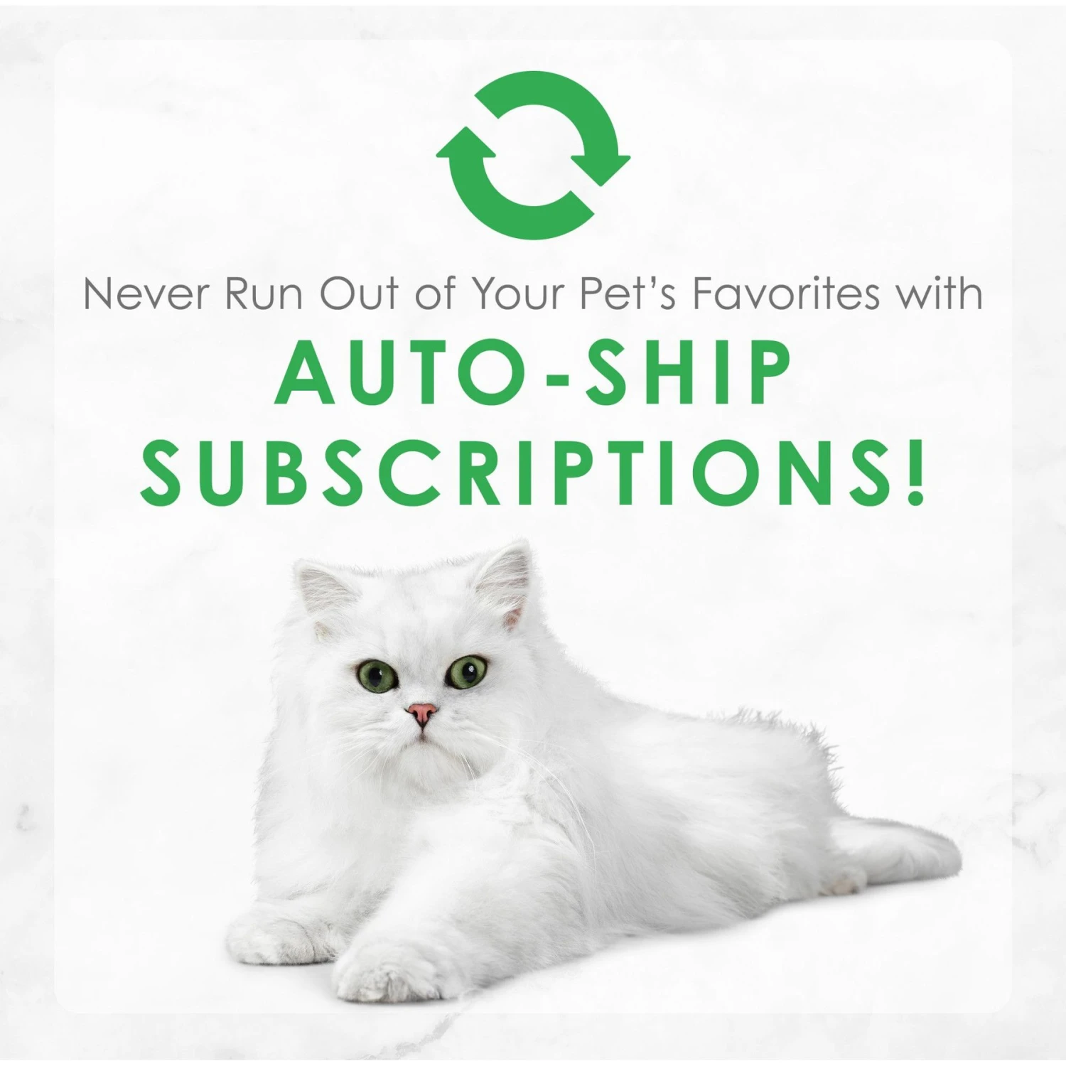 Fancy Feast Flaked Trout Feast Wet Cat Food 11 Fancy Feast Flaked Trout Feast Wet Cat Food - Image 9