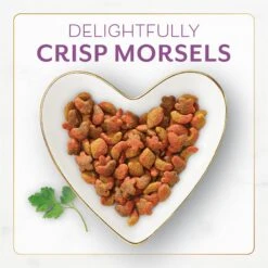 Purina Fancy Feast With Savory Chicken & Turkey Dry Cat Food -PurePet Bites Shop 76144 PT2. AC SS1800 V1678292166