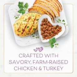 Purina Fancy Feast With Savory Chicken & Turkey Dry Cat Food -PurePet Bites Shop 76144 PT4. AC SS1800 V1678300292