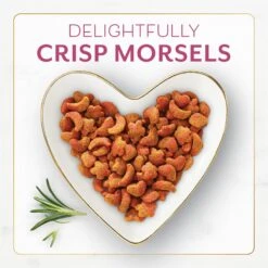 Fancy Feast Gourmet Filet Mignon Flavor With Real Seafood & Shrimp Dry Cat Food -PurePet Bites Shop 76149 PT2. AC SS1800 V1678287542