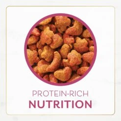 Fancy Feast Gourmet Filet Mignon Flavor With Real Seafood & Shrimp Dry Cat Food -PurePet Bites Shop 76149 PT8. AC SS1800 V1678228255