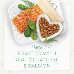 Fancy Feast Gourmet Ocean Fish & Salmon & Accents Of Garden Greens Dry Cat Food 15 Fancy Feast Gourmet Ocean Fish & Salmon & Accents Of Garden Greens Dry Cat Food -PurePet Bites Shop 76155 PT4. AC SS1800 V1678228255