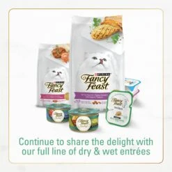 Fancy Feast Gourmet Ocean Fish & Salmon & Accents Of Garden Greens Dry Cat Food 17 Fancy Feast Gourmet Ocean Fish & Salmon & Accents Of Garden Greens Dry Cat Food -PurePet Bites Shop 76155 PT6. AC SS1800 V1678292100