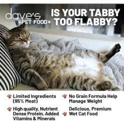 Dave's Pet Food Naturally Healthy 95% Chicken & Chicken Liver Canned Cat Food, 5.5-oz, Case Of 24 5 Dave's Pet Food Naturally Healthy 95% Chicken & Chicken Liver Canned Cat Food, 5.5-oz, Case Of 24 -PurePet Bites Shop 761830 PT1. AC SS1800 V1674512023