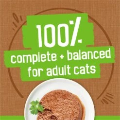 Friskies Classic Pate Mixed Grill Canned Cat Food 15 Friskies Classic Pate Mixed Grill Canned Cat Food -PurePet Bites Shop 76190 PT4. AC SS1800 V1700157737