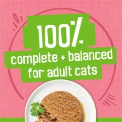 Friskies Pate Salmon Dinner Canned Cat Food -PurePet Bites Shop 76196 PT4. AC SS1800 V1700159488