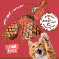 Friskies Extra Gravy Chunky With Beef In Savory Gravy Canned Cat Food -PurePet Bites Shop 76286 PT3. AC SS1800 V1699396521