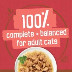 Friskies Extra Gravy Chunky With Beef In Savory Gravy Canned Cat Food -PurePet Bites Shop 76286 PT5. AC SS1800 V1700158063