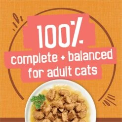 Friskies Extra Gravy Chunky With Chicken In Savory Gravy Canned Cat Food 16 Friskies Extra Gravy Chunky With Chicken In Savory Gravy Canned Cat Food -PurePet Bites Shop 76290 PT5. AC SS1800 V1700158410