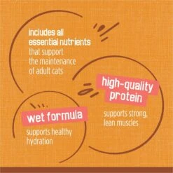 Friskies Extra Gravy Chunky With Chicken In Savory Gravy Canned Cat Food 18 Friskies Extra Gravy Chunky With Chicken In Savory Gravy Canned Cat Food -PurePet Bites Shop 76290 PT7. AC SS1800 V1700159116