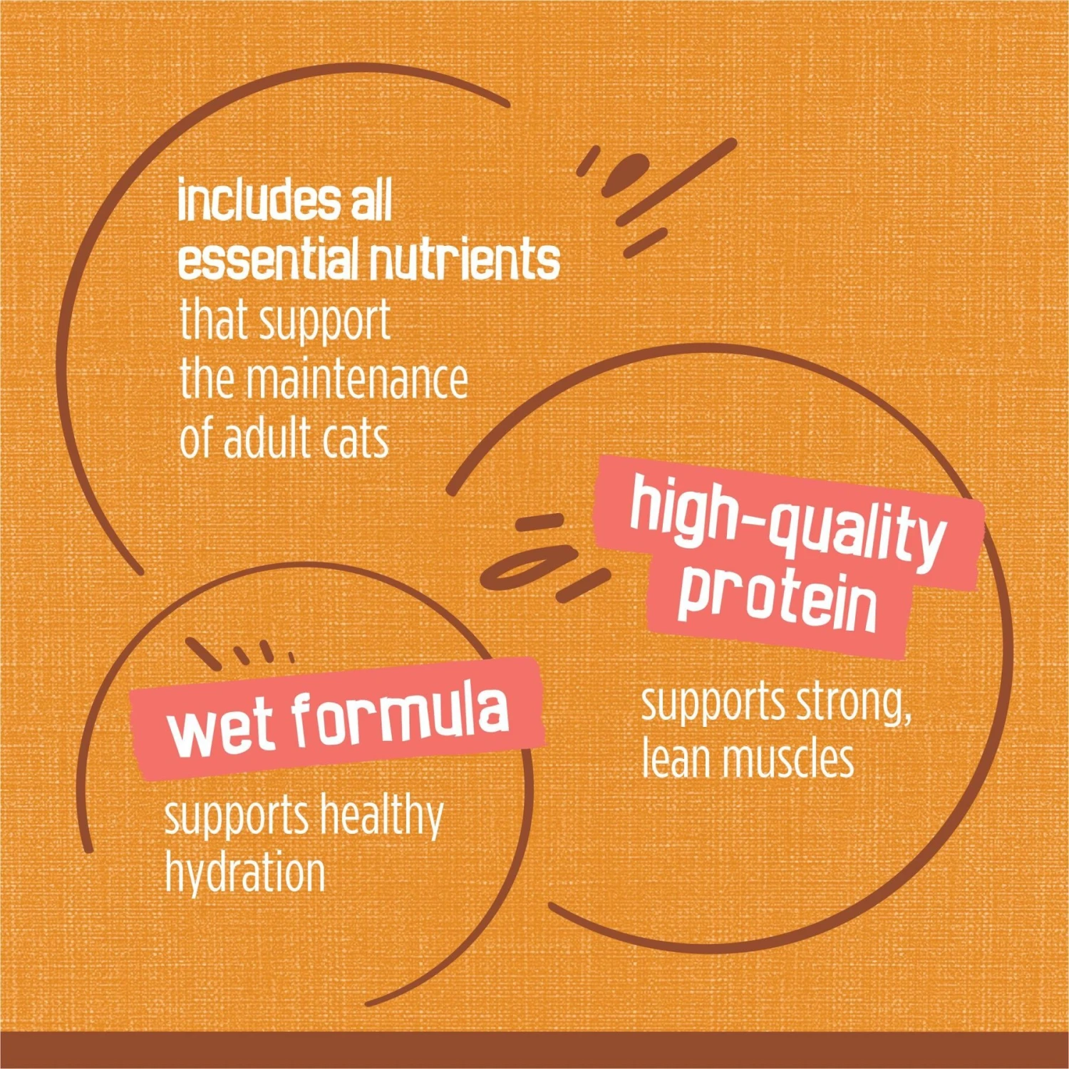 Friskies Extra Gravy Chunky With Chicken In Savory Gravy Canned Cat Food 10 Friskies Extra Gravy Chunky With Chicken In Savory Gravy Canned Cat Food - Image 8