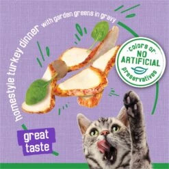 Friskies Indoor Homestyle Turkey Dinner Canned Cat Food -PurePet Bites Shop 76320 PT3. AC SS1800 V1700162549