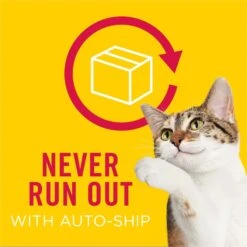 Friskies Indoor Homestyle Turkey Dinner Canned Cat Food -PurePet Bites Shop 76320 PT8. AC SS1800 V1533335825