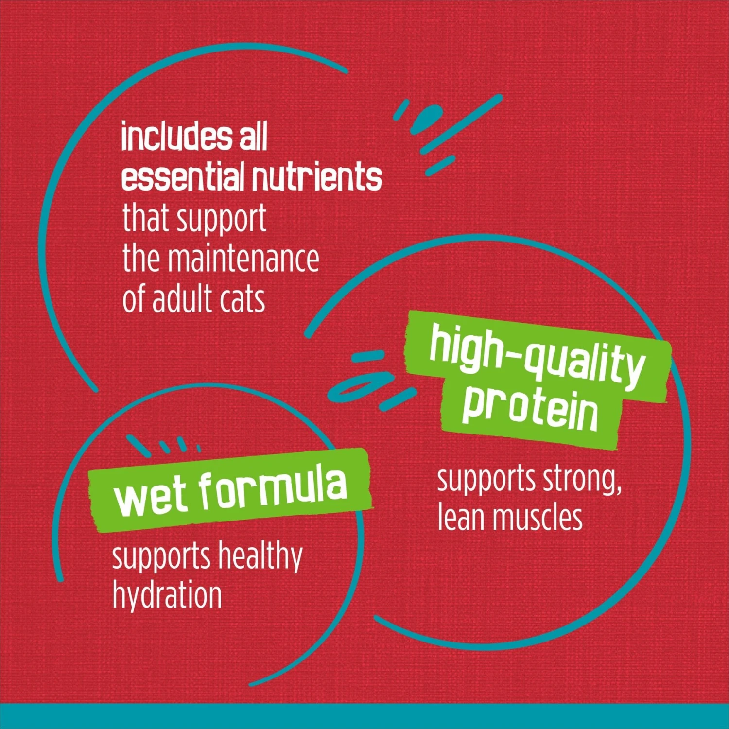 Friskies Tasty Treasures Pate Liver & Beef Wet Cat Food 10 Friskies Tasty Treasures Pate Liver & Beef Wet Cat Food - Image 8