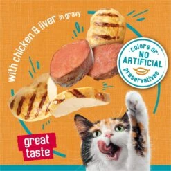 Friskies Tasty Treasures Gravy Chicken & Liver Wet Cat Food 14 Friskies Tasty Treasures Gravy Chicken & Liver Wet Cat Food -PurePet Bites Shop 76342 PT3. AC SS1800 V1700160036