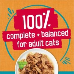 Friskies Tasty Treasures Gravy Chicken & Liver Wet Cat Food 16 Friskies Tasty Treasures Gravy Chicken & Liver Wet Cat Food -PurePet Bites Shop 76342 PT5. AC SS1800 V1700157914