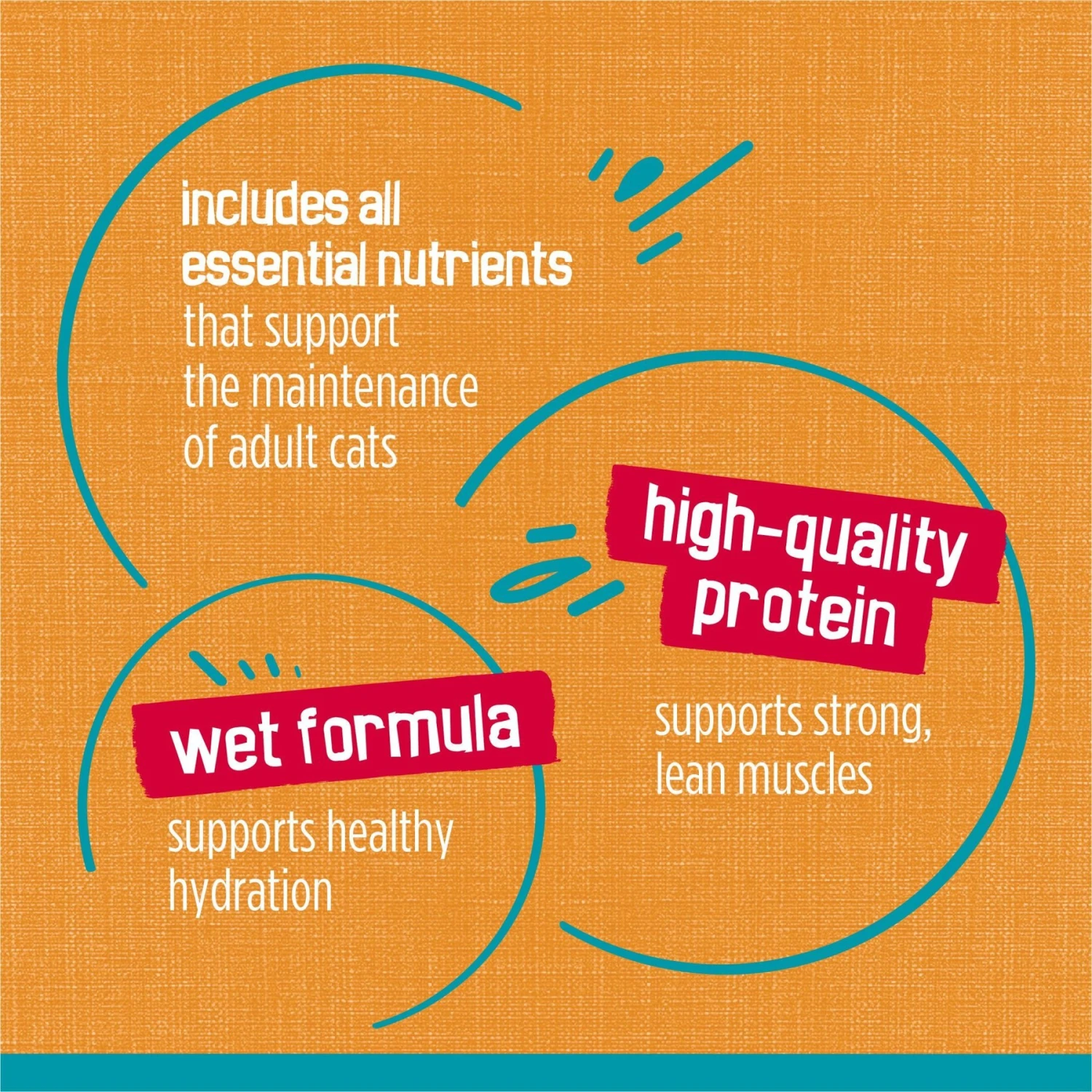 Friskies Tasty Treasures Gravy Chicken & Liver Wet Cat Food 10 Friskies Tasty Treasures Gravy Chicken & Liver Wet Cat Food - Image 8