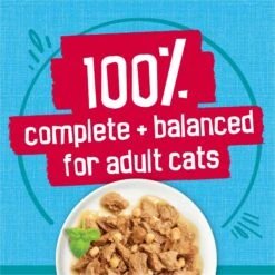 Friskies Tasty Treasures With Ocean Fish & Tuna & Scallop Flavor Wet Cat Food. 5.5-oz Can -PurePet Bites Shop 76346 PT5. AC SS1800 V1700158530