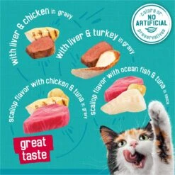 Friskies Tasty Treasures Gravy Prime Filets Variety Pack Wet Cat Food -PurePet Bites Shop 76350 PT2. AC SS1800 V1700158513