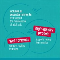 Friskies Tasty Treasures Gravy Prime Filets Variety Pack Wet Cat Food -PurePet Bites Shop 76350 PT6. AC SS1800 V1700160583