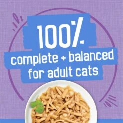 Friskies Savory Shreds Turkey & Cheese Dinner In Gravy Canned Cat Food 16 Friskies Savory Shreds Turkey & Cheese Dinner In Gravy Canned Cat Food -PurePet Bites Shop 76356 PT5. AC SS1800 V1699375106