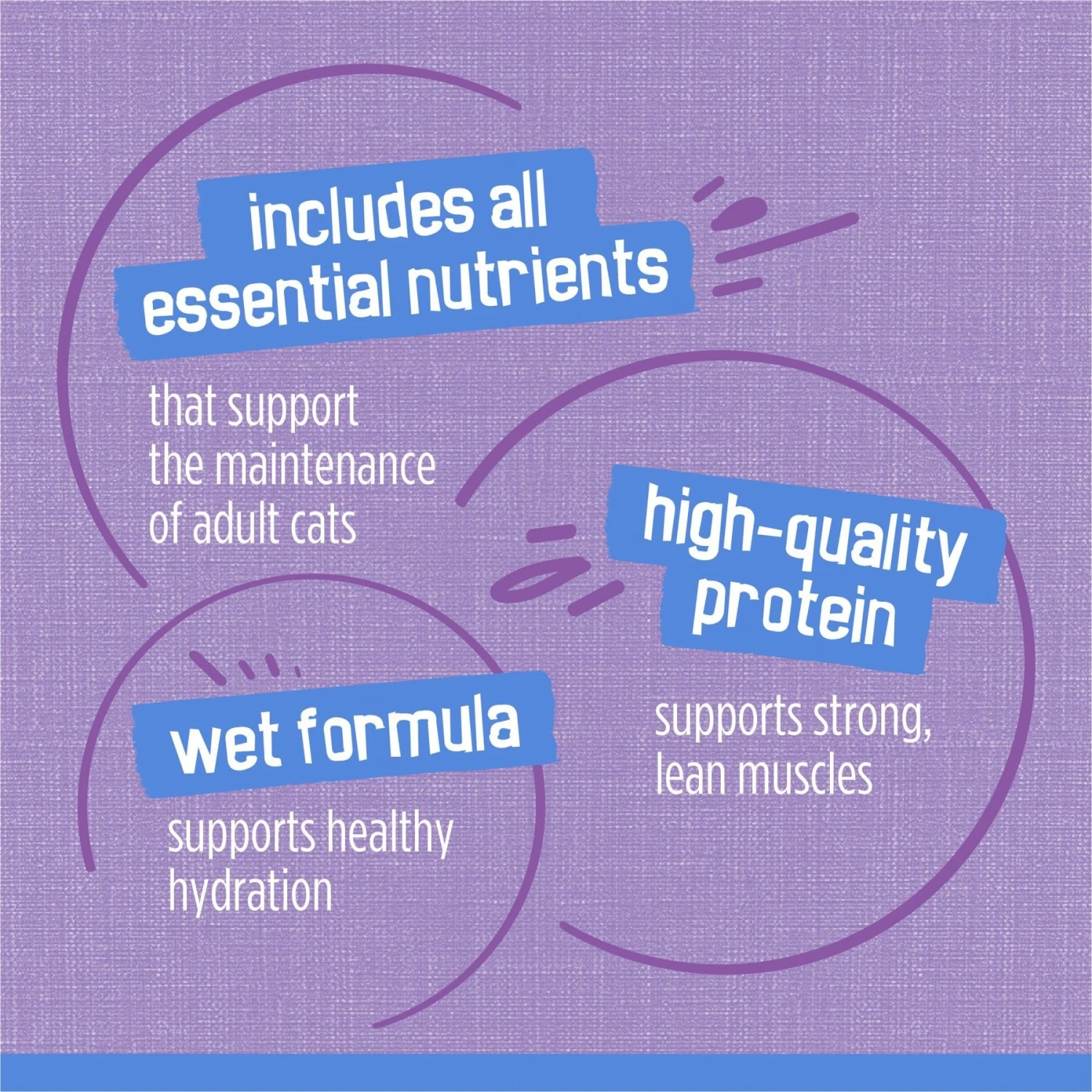 Friskies Savory Shreds Turkey & Cheese Dinner In Gravy Canned Cat Food 10 Friskies Savory Shreds Turkey & Cheese Dinner In Gravy Canned Cat Food - Image 8
