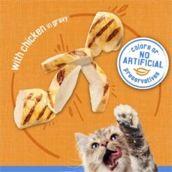 Friskies Savory Shreds With Chicken In Gravy Canned Cat Food -PurePet Bites Shop 76364 PT3. AC SS1800 V1700158454