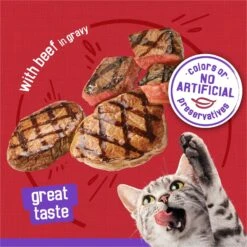 Friskies Meaty Bits With Beef In Gravy Canned Cat Food -PurePet Bites Shop 76380 PT3. AC SS1800 V1700157112