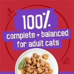 Friskies Meaty Bits With Beef In Gravy Canned Cat Food -PurePet Bites Shop 76380 PT5. AC SS1800 V1699391964