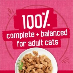 Friskies Prime Filets With Salmon & Beef In Sauce Canned Cat Food -PurePet Bites Shop 76397 PT5. AC SS1800 V1700156847