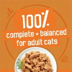 Friskies Chicken Lovers Variety Pack Canned Cat Food 15 Friskies Chicken Lovers Variety Pack Canned Cat Food -PurePet Bites Shop 76424 PT4. AC SS1800 V1700156297